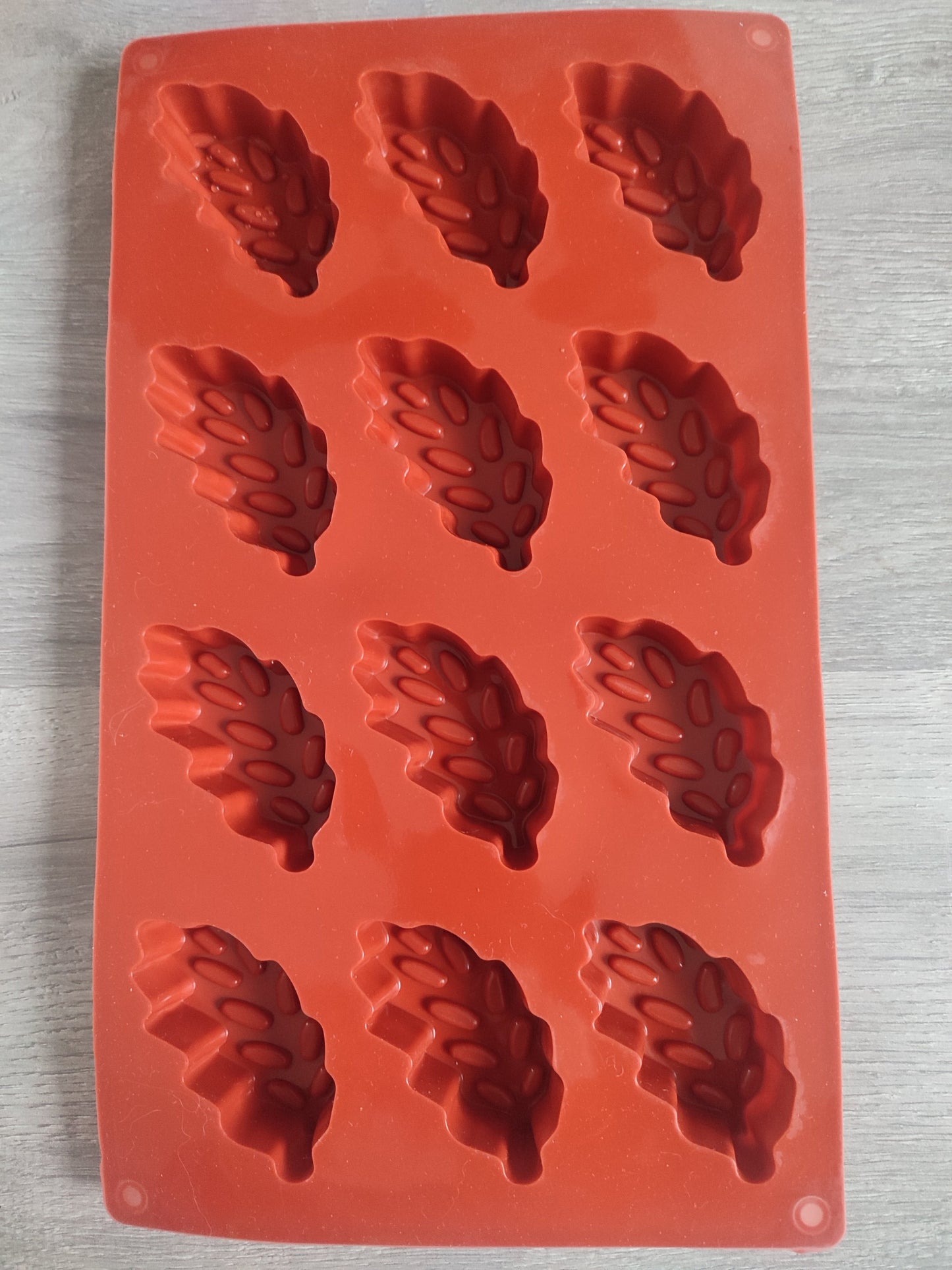 Moule 12 Feuilles
