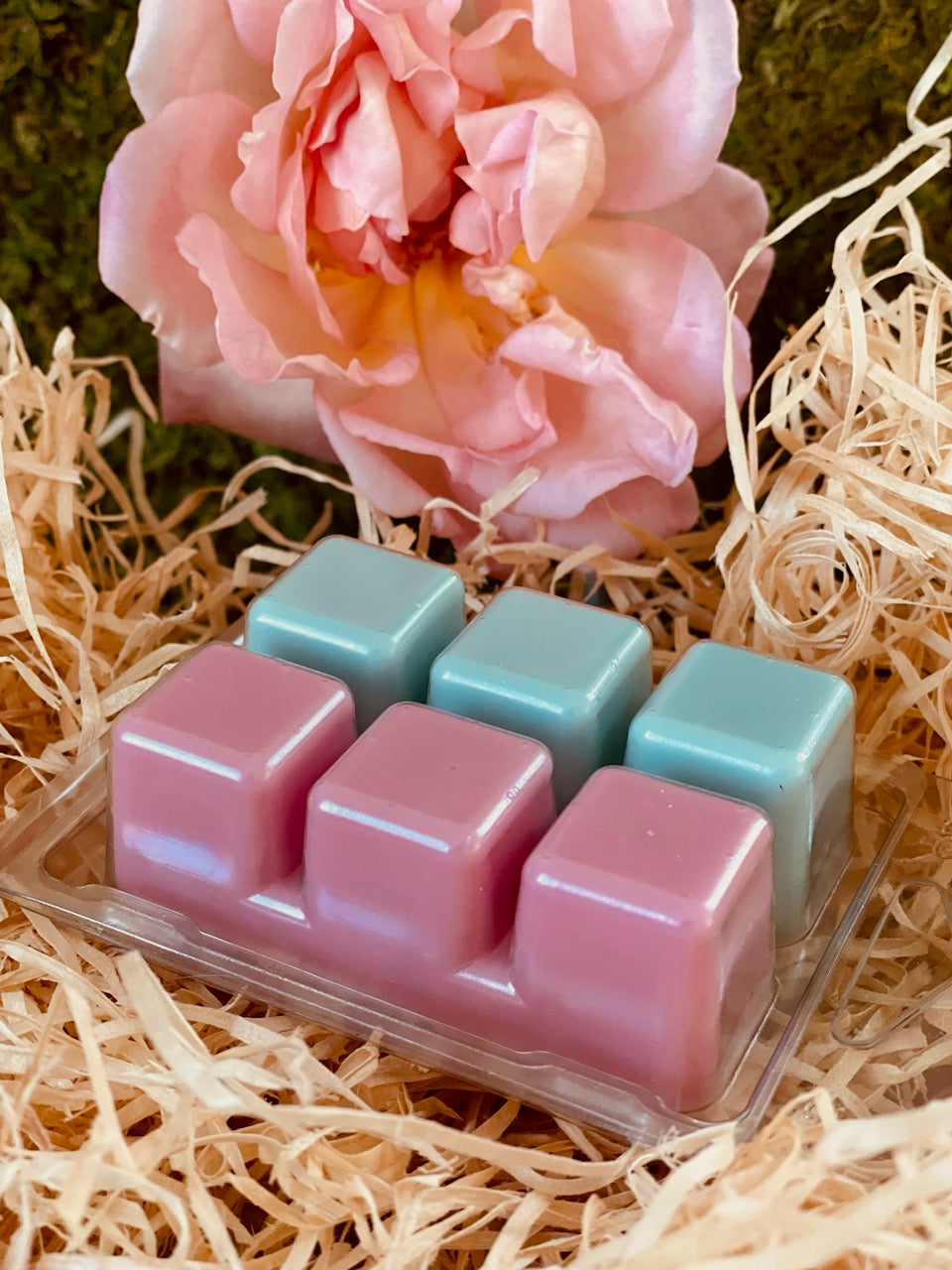 Clamshell duo