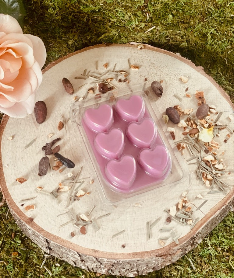 Clamshell coeurs x6